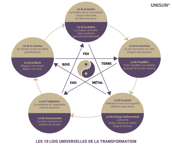 Les 10 lois universelles de la transformation